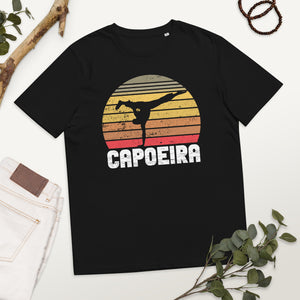 Physical Fitnees Capoeira